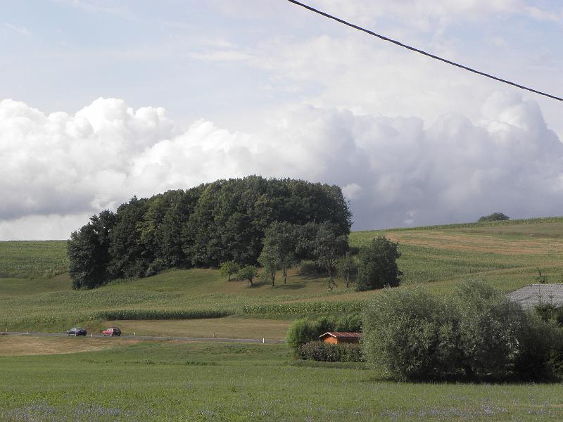 P8100052.JPG