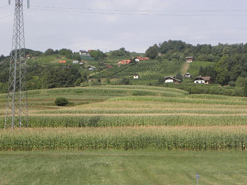 P8100064.JPG