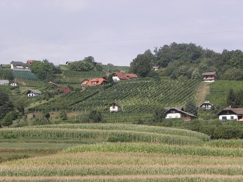 P8100066.JPG
