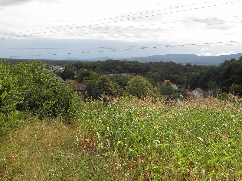 P8100067.JPG