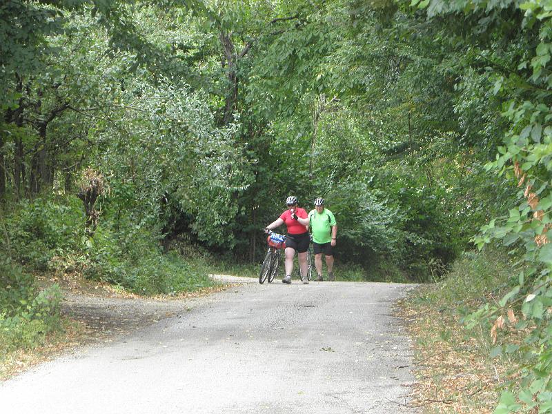 P8100070.JPG