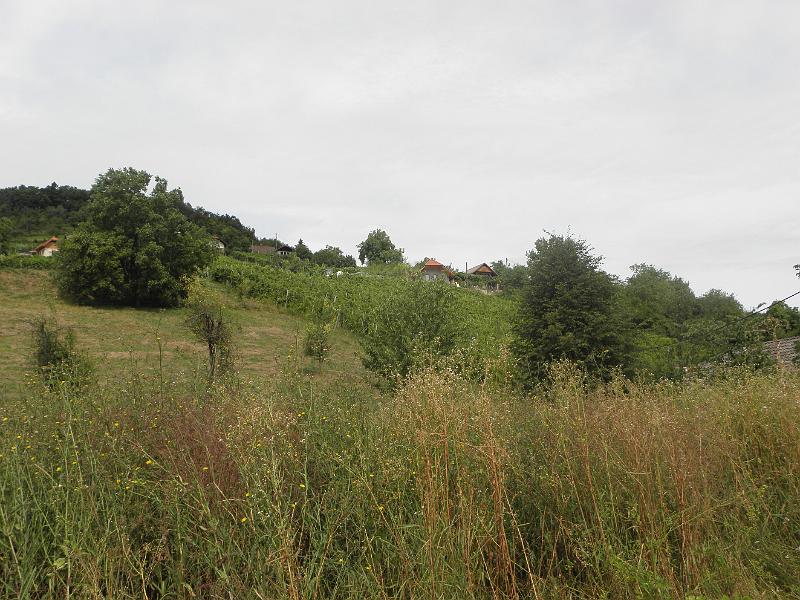 P8100071.JPG