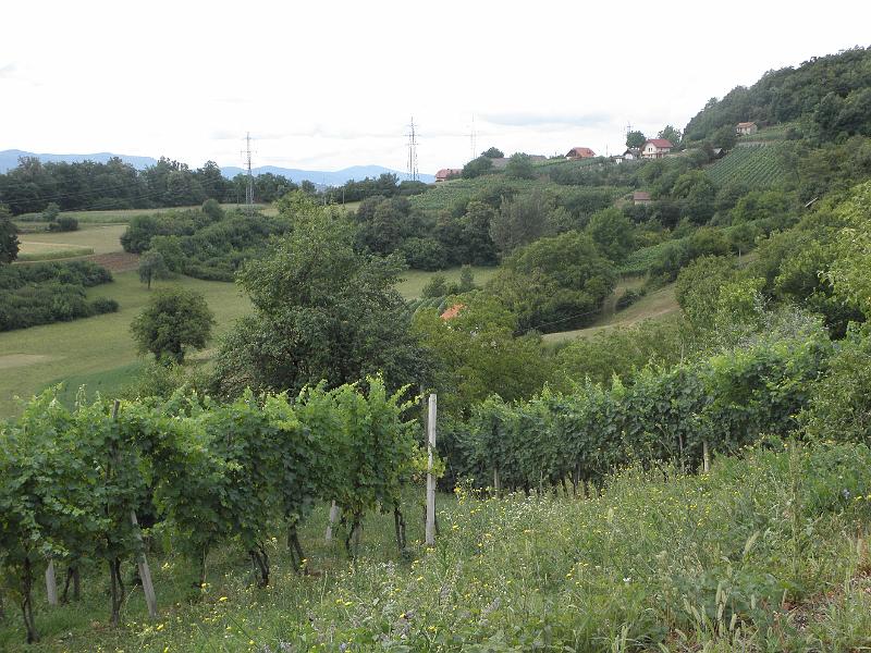 P8100075.JPG