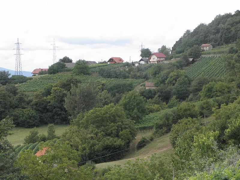 P8100076.JPG
