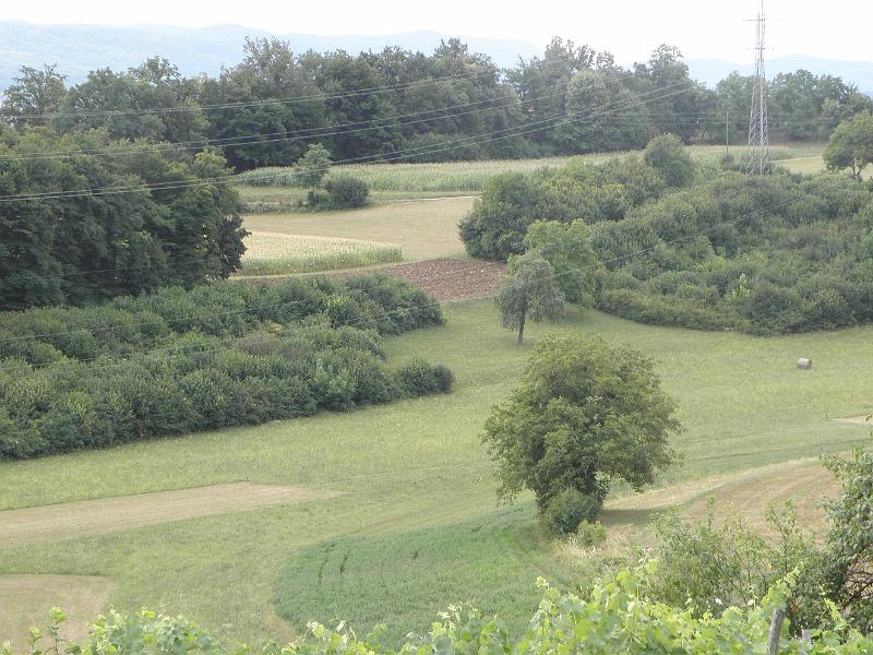 P8100078.JPG