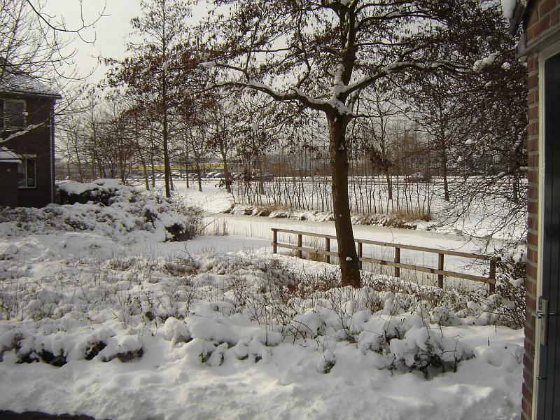 DSC00031.JPG
