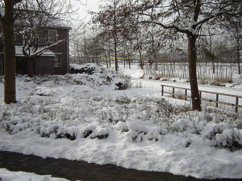 DSC00033.JPG