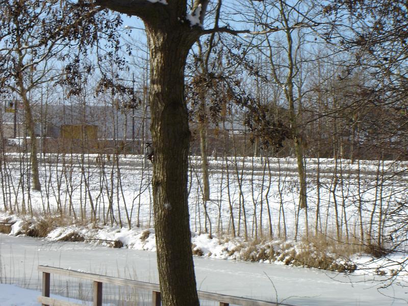 DSC00039.JPG