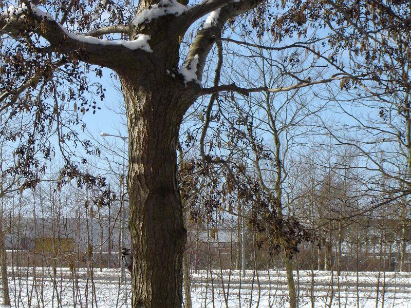 DSC00040.JPG