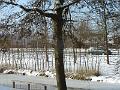 DSC00035