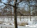 DSC00036