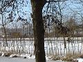 DSC00038