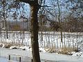 DSC00039