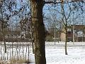 DSC00041
