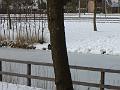 DSC00042
