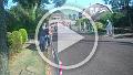 VID00536