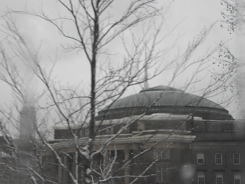 P4150215.JPG