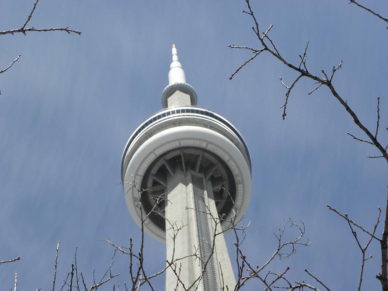 P4170502.JPG