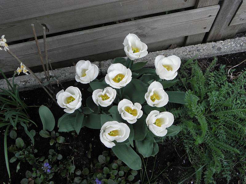 P4240011.JPG