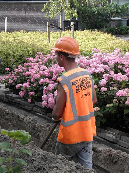P6280621.JPG