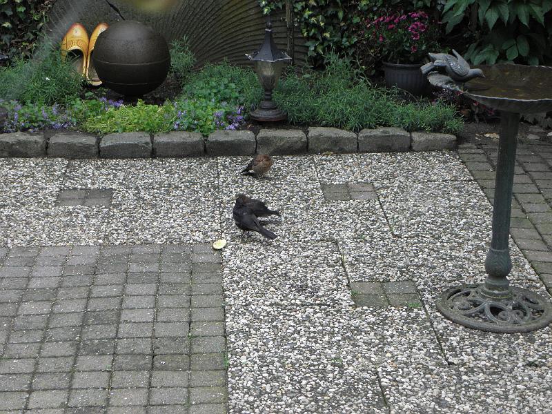 P5290077.JPG