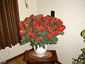 DSC00059