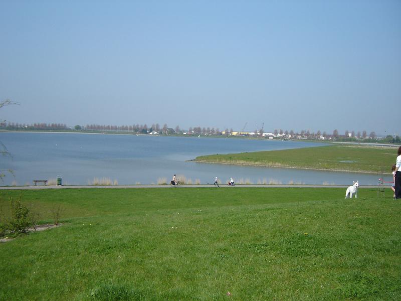 DSC00153.JPG