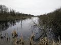 IMG_20150322_111702