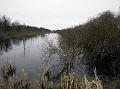 IMG_20150322_111705