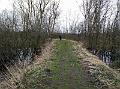 IMG_20150322_111714
