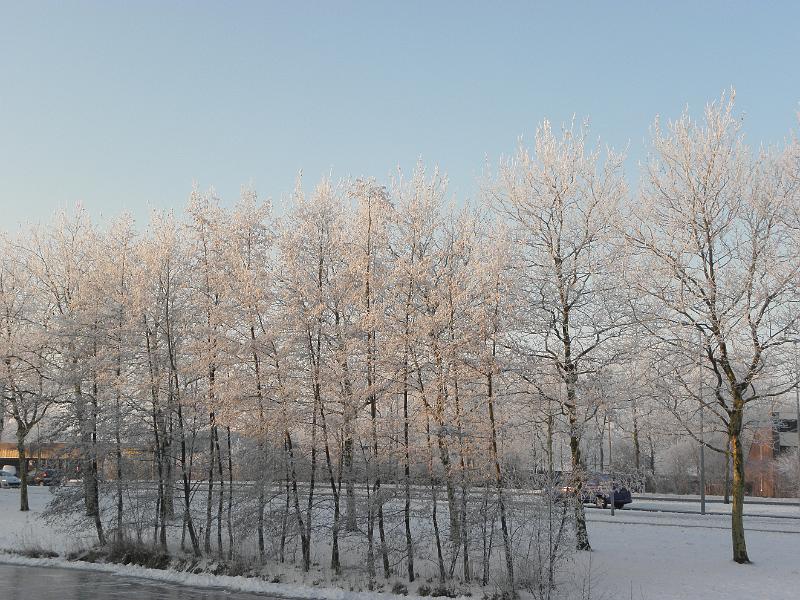 P2041037.JPG