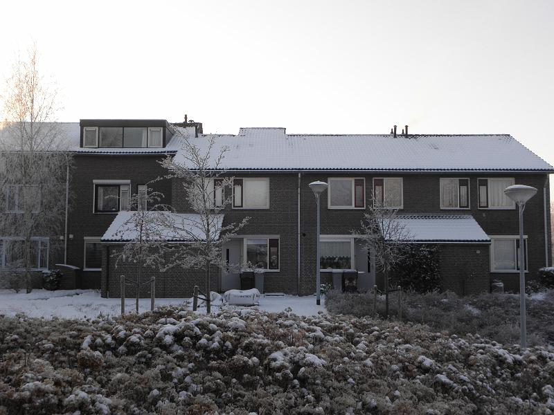 P2041040.JPG