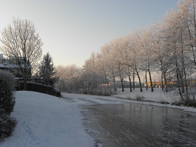P2041042.JPG