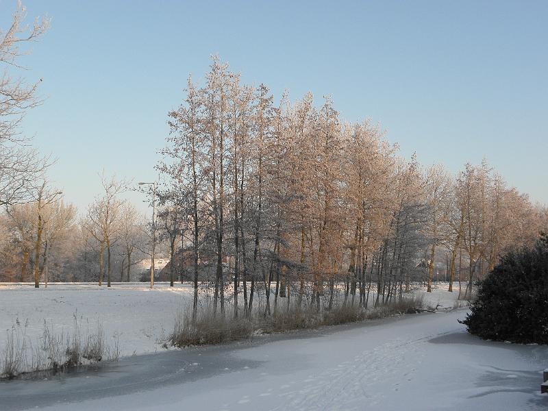 P2041043.JPG