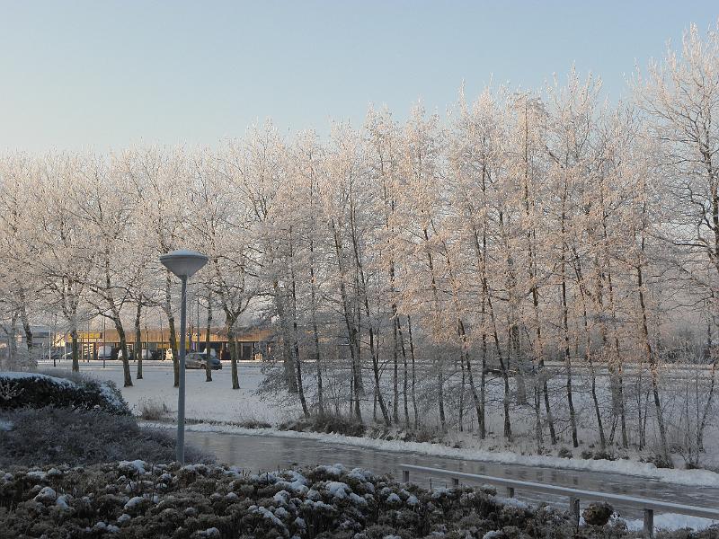 P2041046.JPG