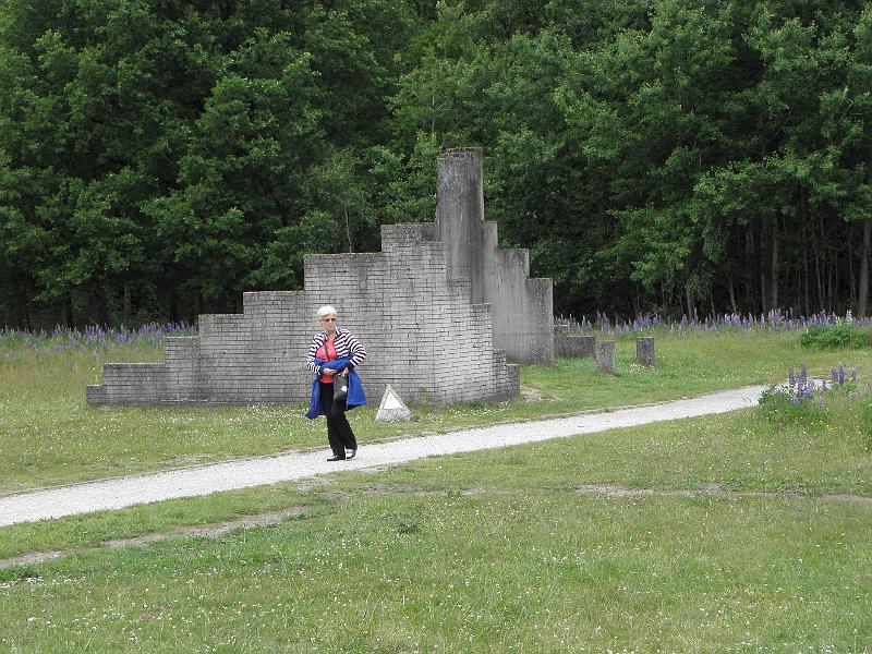 P6130186.JPG