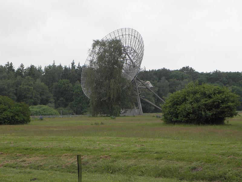 P6130200.JPG