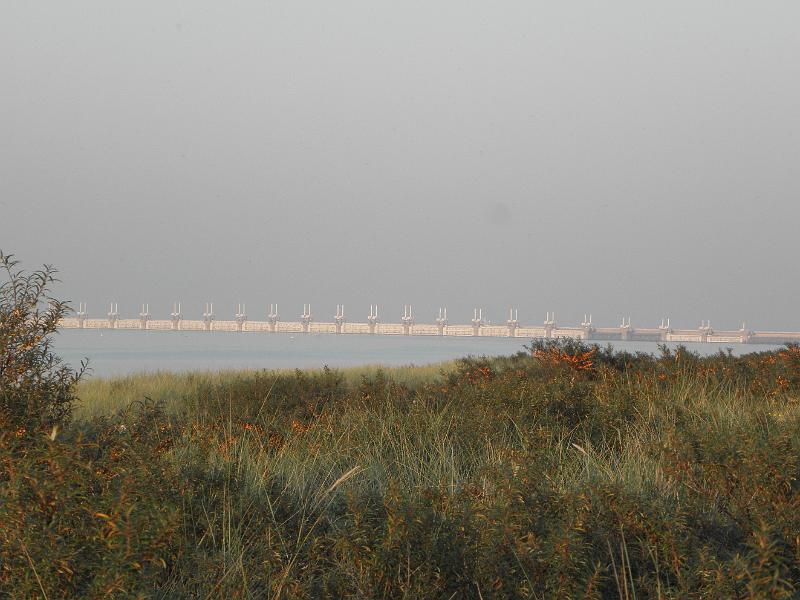 P9300838.JPG