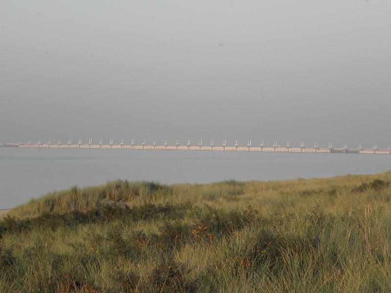 P9300840.JPG