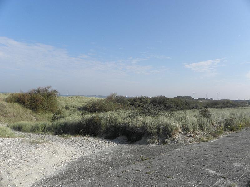 PA030871.JPG