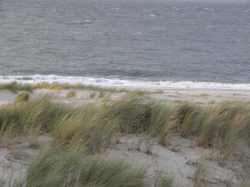 PA060962.JPG