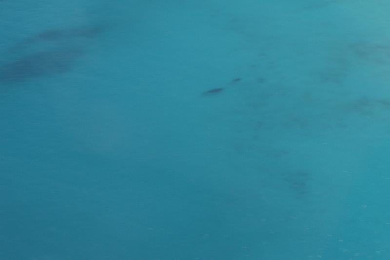 DSC04118.JPG