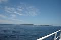 DSC04202