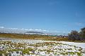 DSC04237