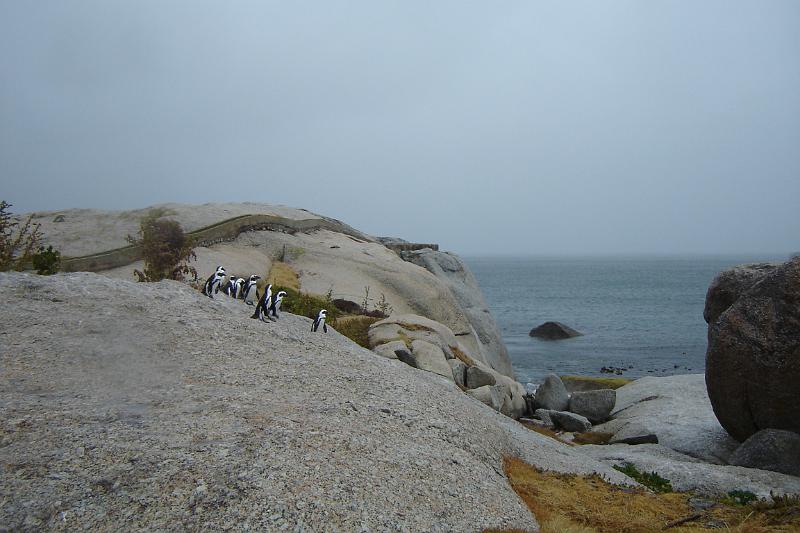 DSC04303.JPG