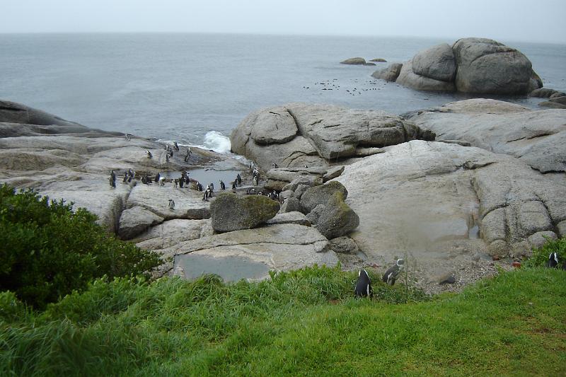 DSC04317.JPG