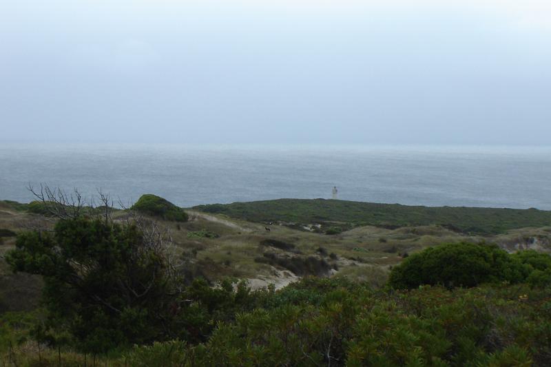 DSC04329.JPG