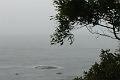 DSC04320