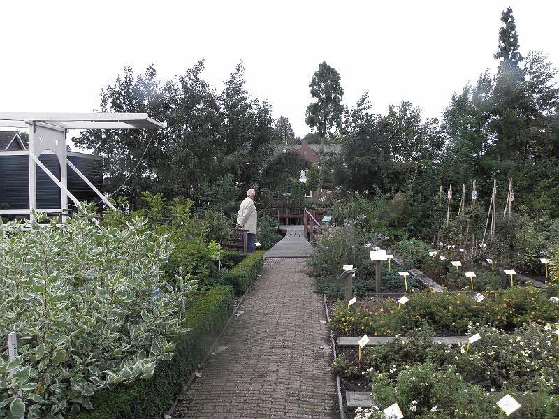 P9170466.JPG