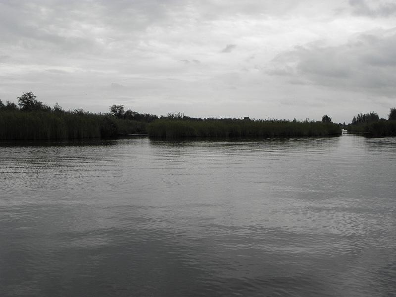 P9170494.JPG